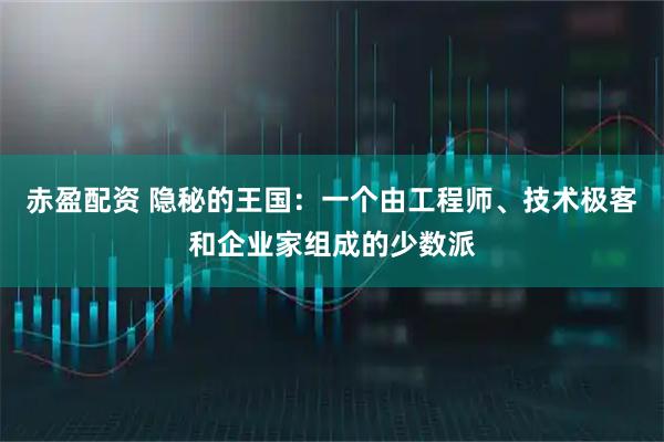 赤盈配资 隐秘的王国：一个由工程师、技术极客和企业家组成的少数派