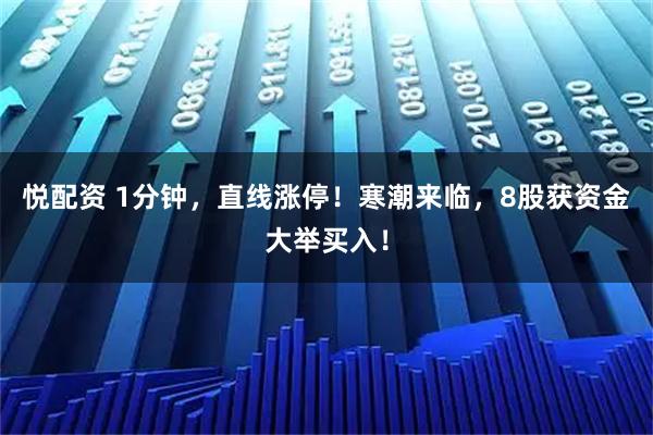 悦配资 1分钟，直线涨停！寒潮来临，8股获资金大举买入！