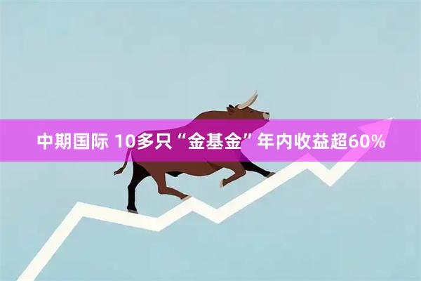 中期国际 10多只“金基金”年内收益超60%