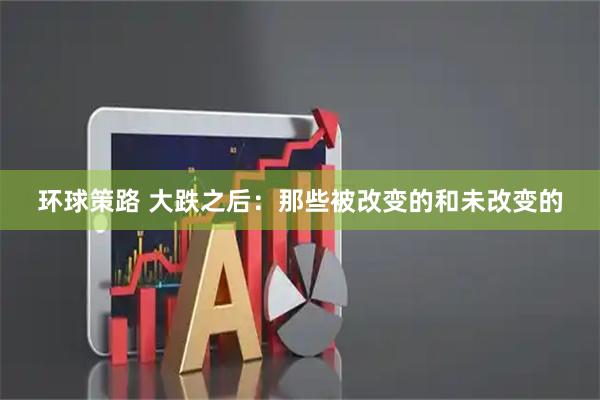 环球策路 大跌之后:那些被改变的和未改变的